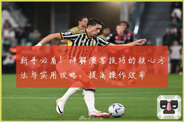 新手必看！详解澳客技巧的核心方法与实用攻略，提高操作效率