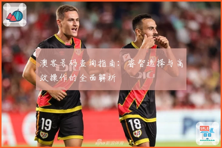 澳客号码查询指南：睿智选择与高效操作的全面解析